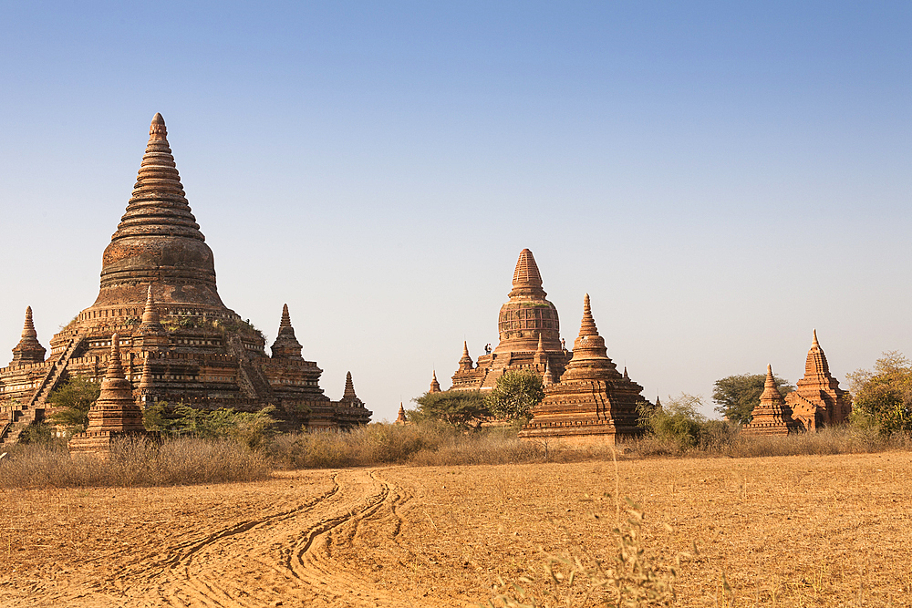 Buledi Temple, in the centre at the back, Bagan, Myanmar, (Burma)