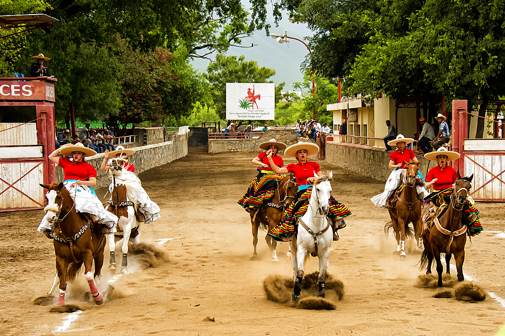 The skirmish is a team of women who perform precision equestrian displays riding sidesaddle and garbed in Adelita dress, Slide and stop,