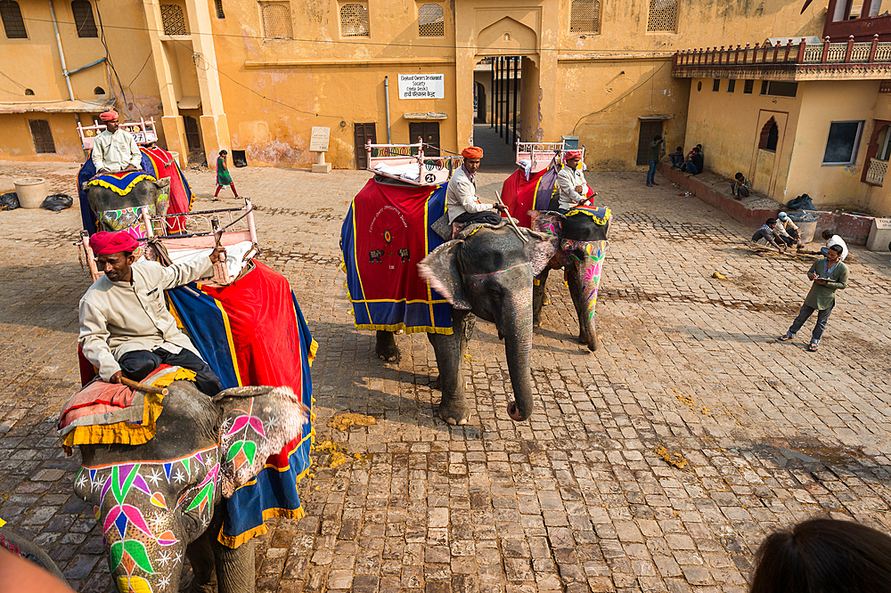 Elephant in the Fort Amber