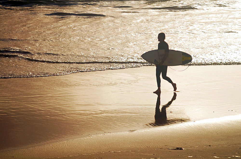 Surfer in Cote des Basques beach at sunset, Biarritz