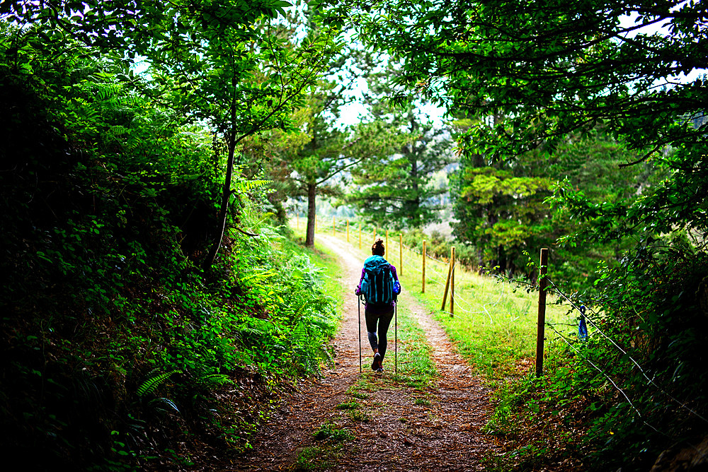 Young female pilgrim walking the Way of Saint James (Camino de Santiago), Galicia, Spain