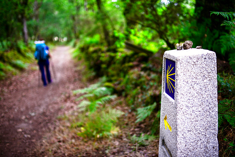 Young female pilgrim walking the Way of Saint James (Camino de Santiago), Galicia, Spain