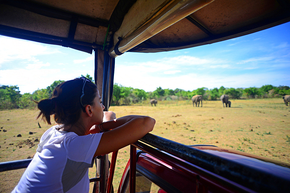 Young woman on safari jeep at Udawalawe National Park, Sri Lanka