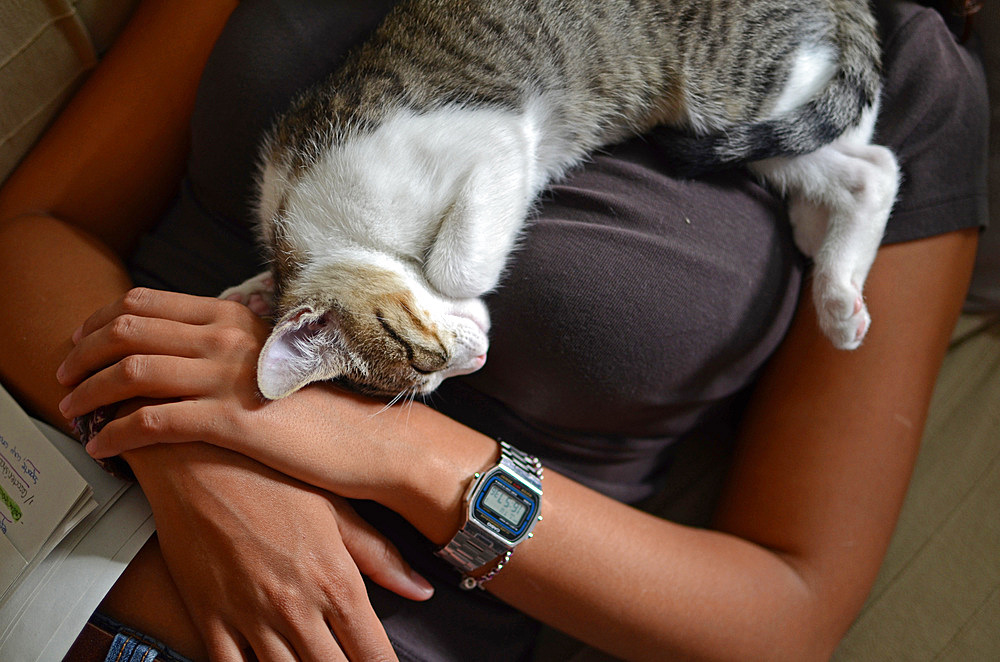 Young woman and cute kitten sleeping at home