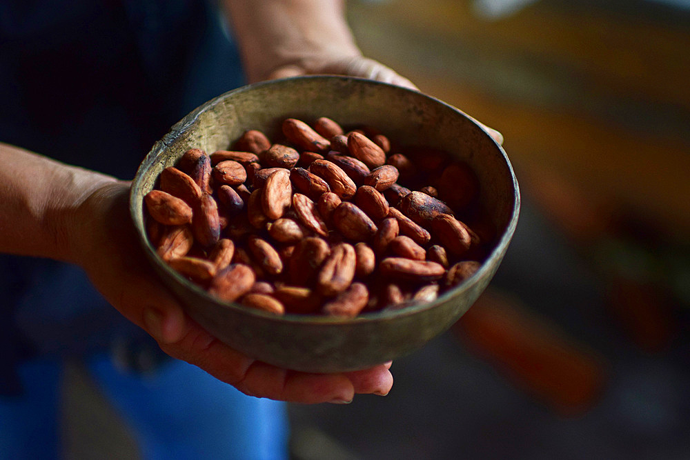 Preparing natural cacao drink at Bribri tribe house, A day with the Bribri, indigenous people in Lim?n Province of Costa Rica,