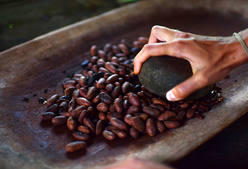 Preparing natural cacao drink at Bribri tribe house, A day with the Bribri, indigenous people in Lim?n Province of Costa Rica,