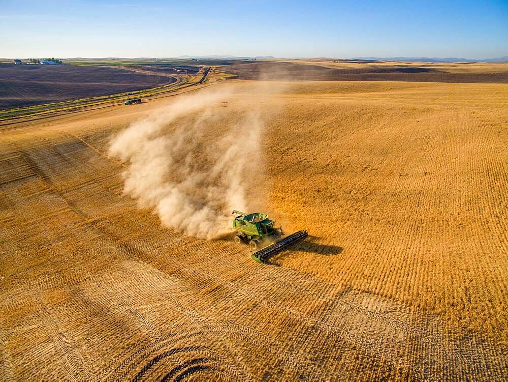 Barley harvest in Reardan, Washington.