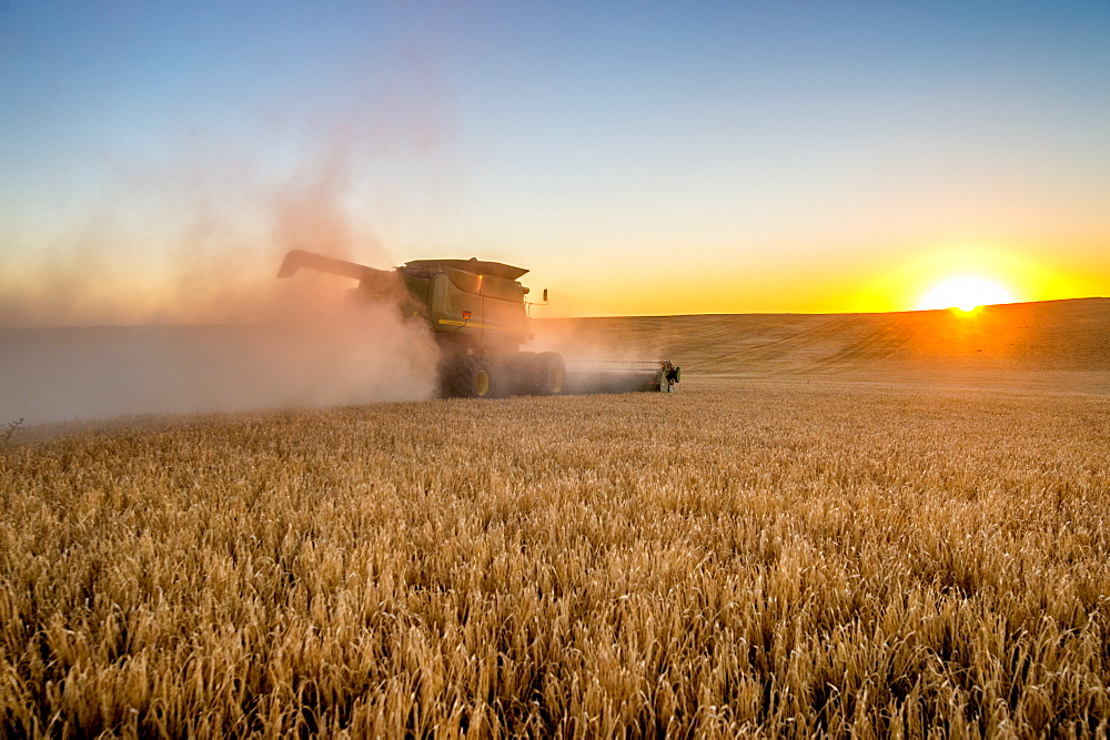 Barley harvest in Reardan, Washington.