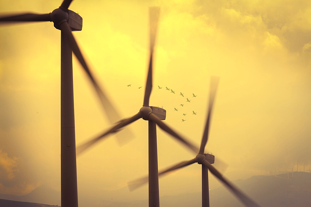 Windmills. Spain.