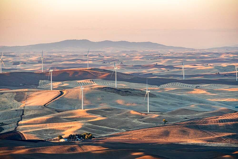 Views of the Palouse from Steptoe Butte