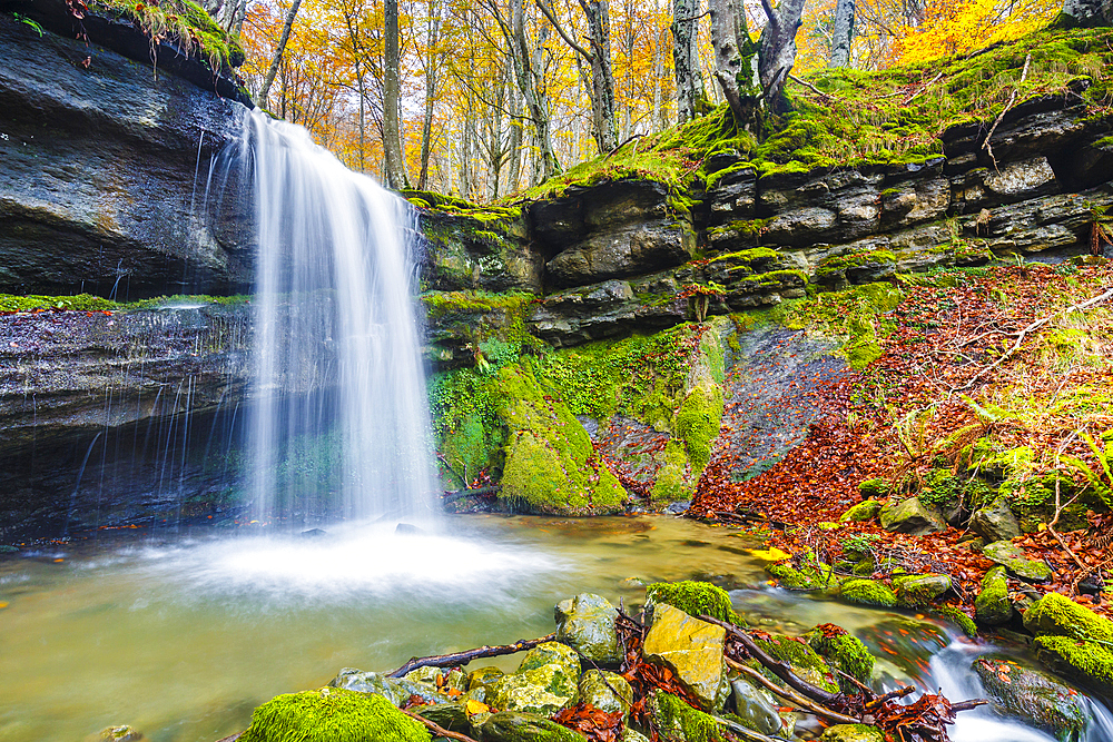 Waterfall in a beechwood. Portillo de la Sia Pass. Cantabria, Spain, Europe.