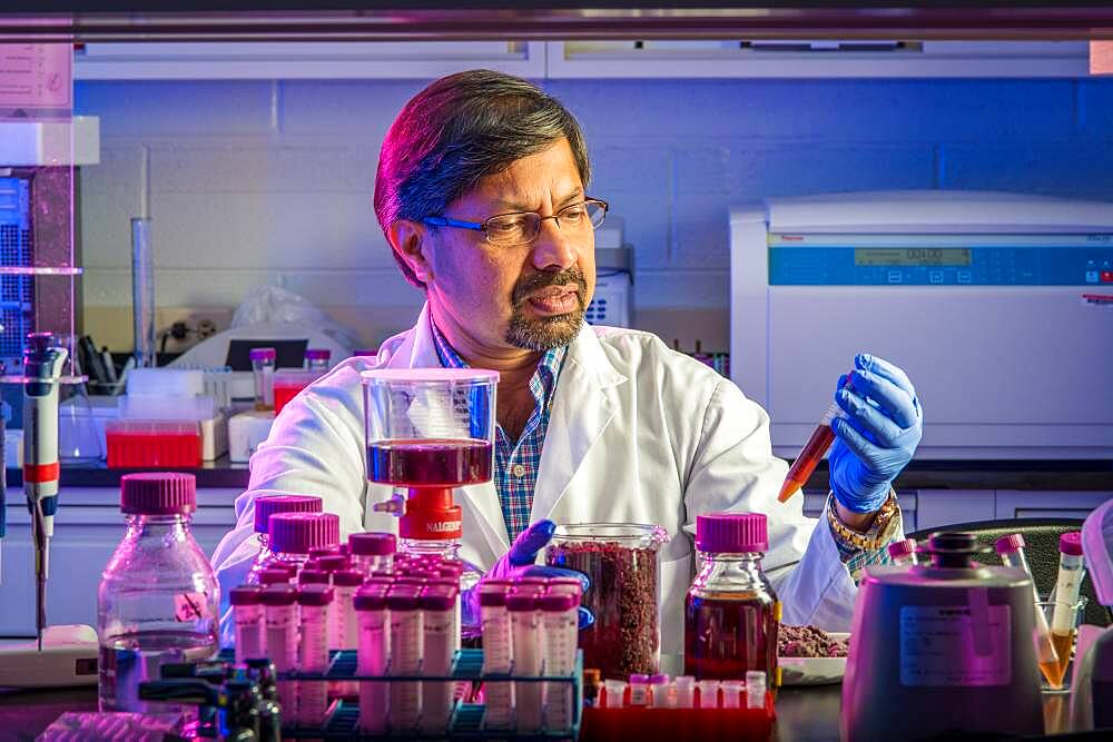 Scientist in laboratory with purple liquid