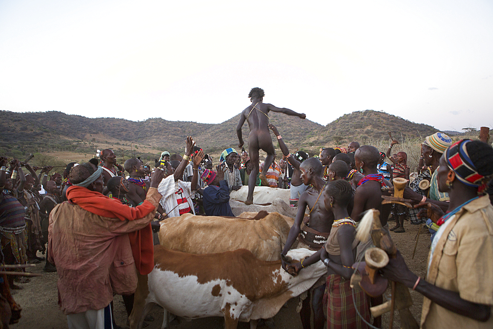 cow jumping by the Hamer tribe