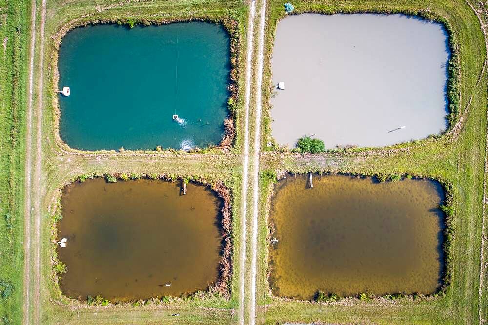 Algae colors the water in aquaculture ponds at the University of Georgia Tifton Campus Coastal Plain Experiment Station