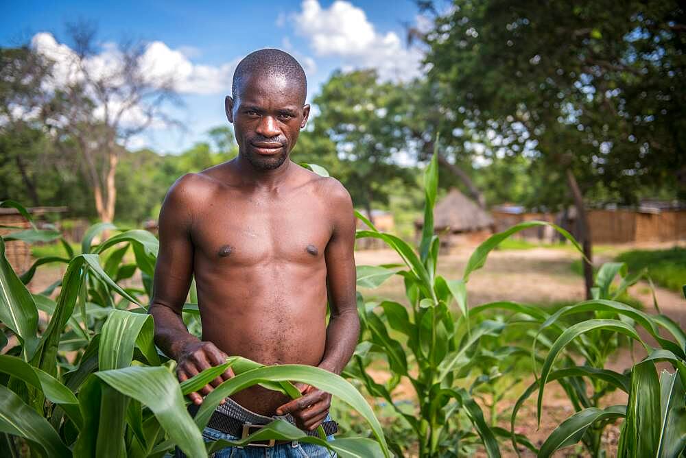 A young Zambian man stands with his crop of corn in a village in Livingstone, Zambia