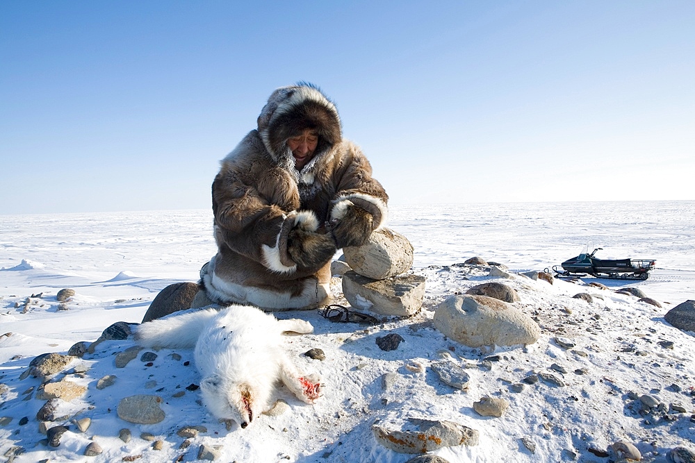 Animal hunting in Gojahaven, an Inuit settlement in the far north of Canada