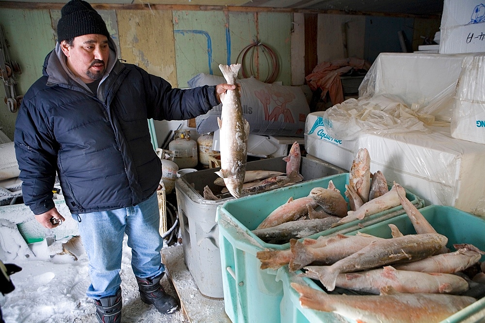 Frozen fish in Gojahaven, an Inuit settlement in the far north of Canada