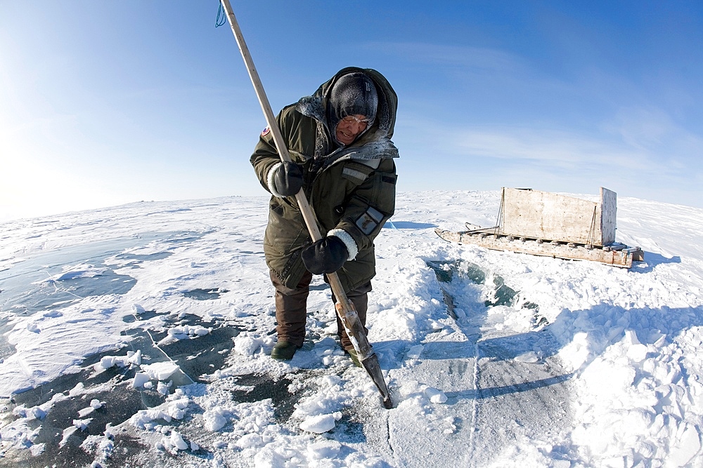 Animal hunting in Gojahaven, an Inuit settlement in the far north of Canada