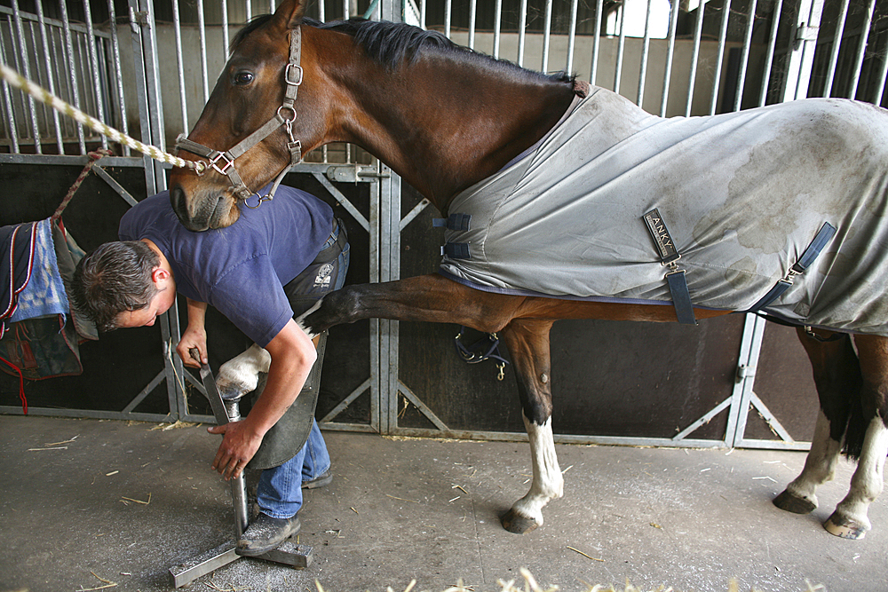 Farrier at work