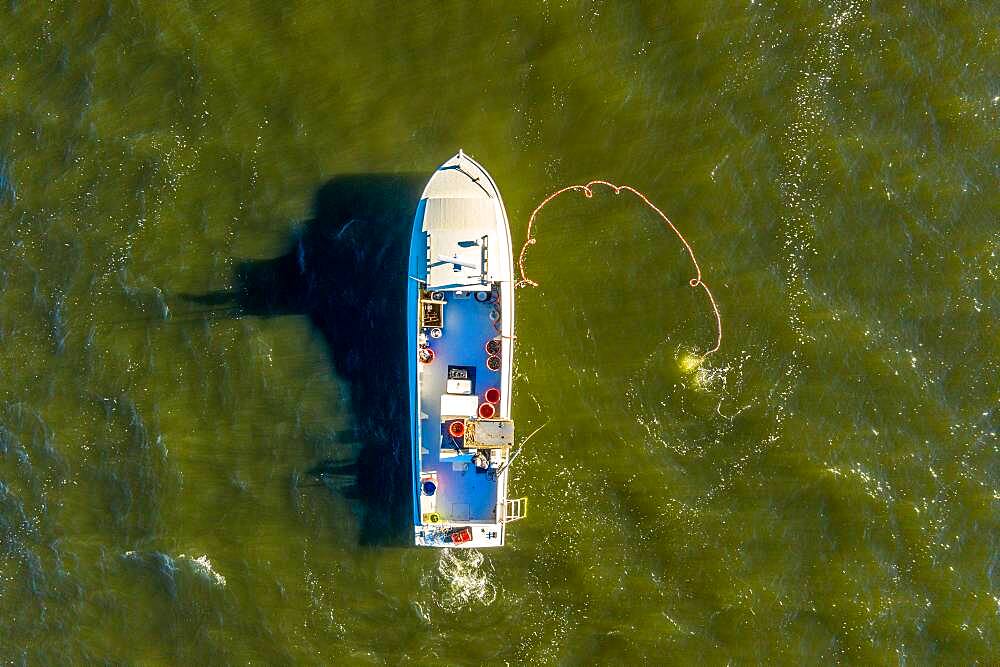 A tube, transporting oxygen and heated water, is tethered to a diver from the side of a boat, Wittman, Maryland.