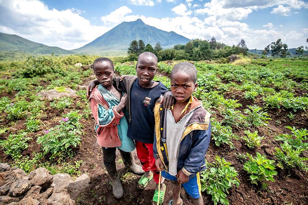 Kids in Potato field on small farms near Volcanos National Park , Rwanda