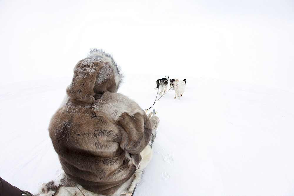 Snow sledding in Gojahaven, an Inuit settlement in the far north of Canada.