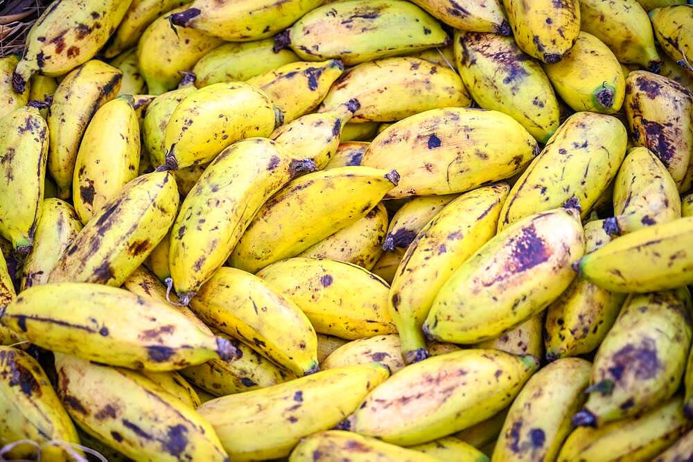 Close up of small bananas in basket,  Debre Berhan, Ethiopia