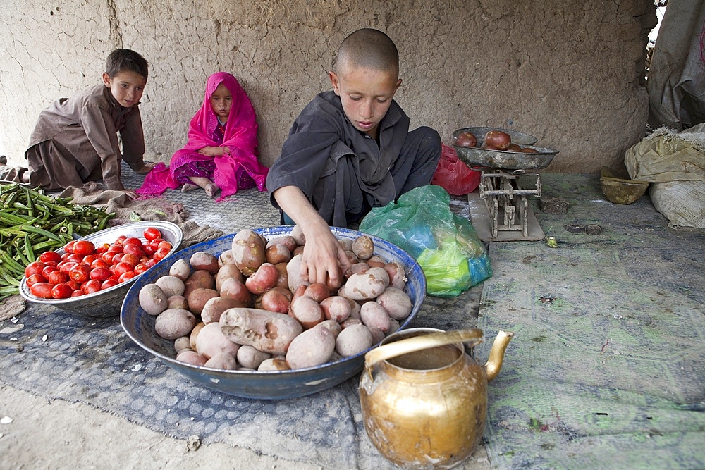 grocery shop in Kabul