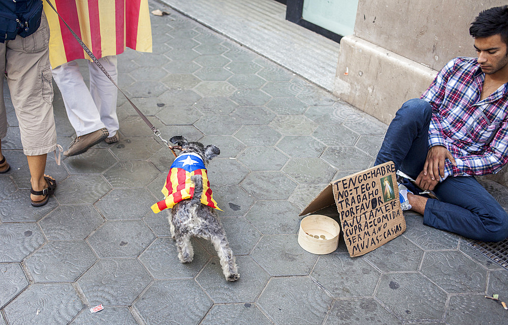 Political demonstration for the independence of Catalonia. Passeig de Gracia.October 19, 2014. Barcelona. Catalonia. Spain.