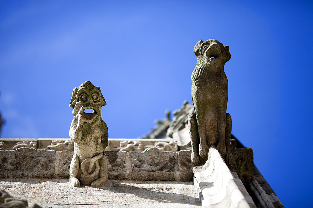 Gargoyle, Cathedral of Quimper, departament of Finistere, region of Brittany, France