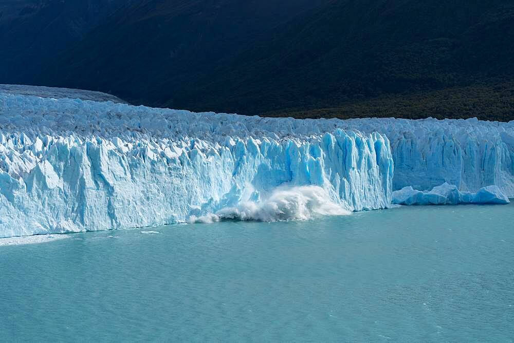 A section of the Perito Moreno Glacier calves dropping tons of glacial ice into Lago Argentino in Los Glaciares National Park near El Calafate, Argentina.  A UNESCO World Heritage Site in the Patagonia region of South America.