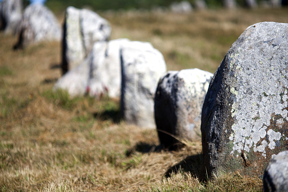 Megalithic alignment of Menec, town of Carnac, departament of Morbihan, Brittany, France