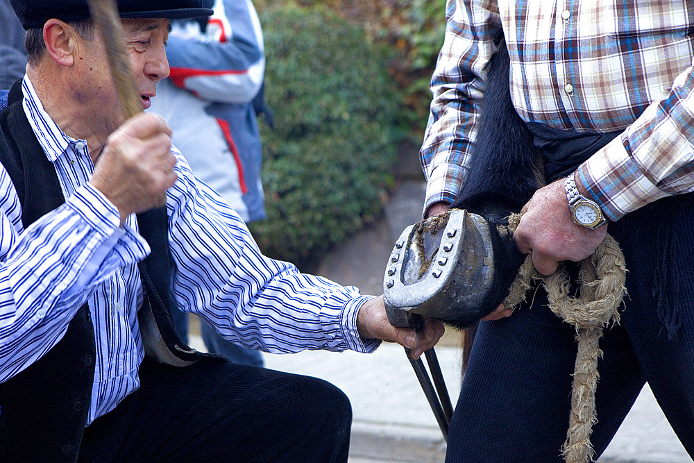 `Festa dels TraginersÂ´, Feast of the muleteer in Balsareny. Farrier. Balsareny. Comarca del Bages. Eix del Llobregat, Catalonia, Spain.