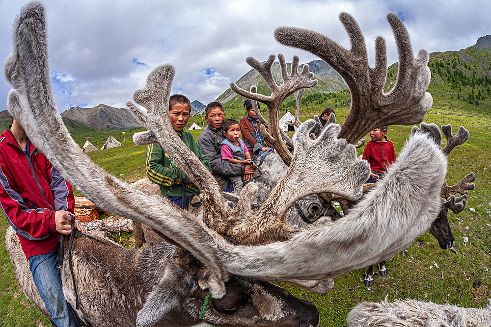 Turkic community of Semi Nomadic reindeer herders living in the northernmost province of Mongolia