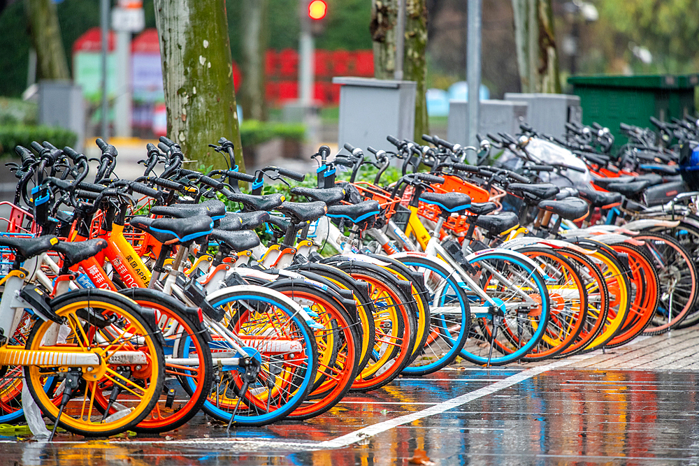 Rows of unused cycles on a rainy day, Shanghai, China -