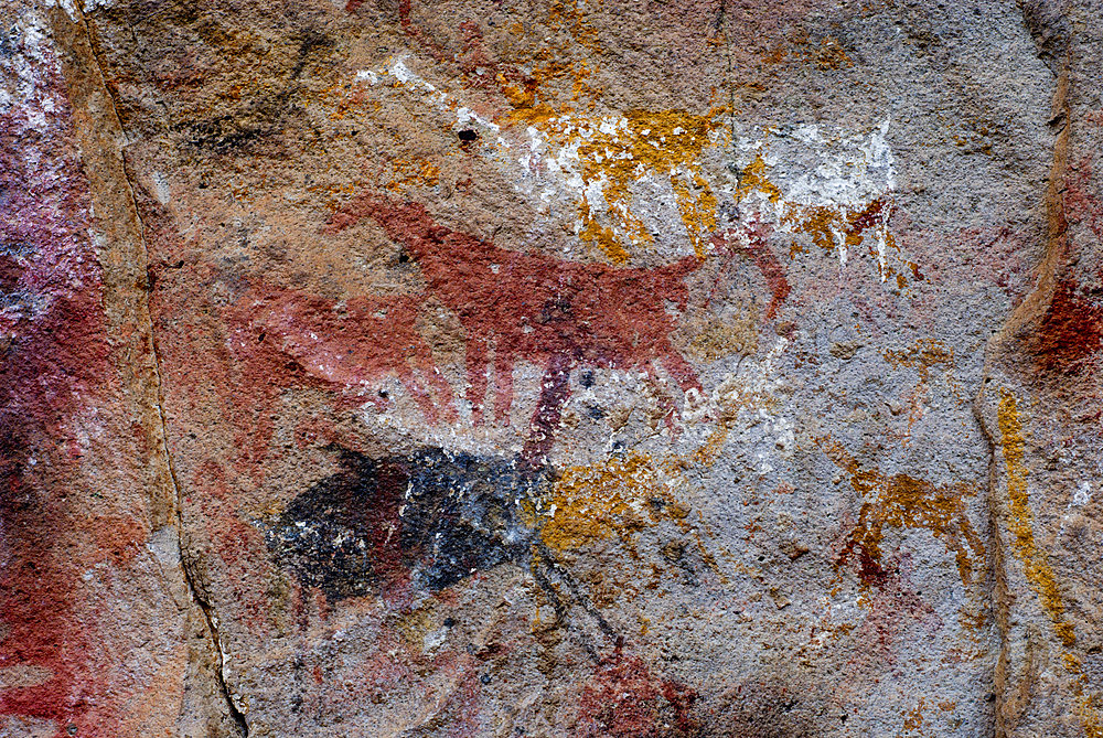 Cueva de las Manos del Rio Pinturas, Cave of the Hands, Patagonia, Province of Santa Cruz, Argentina