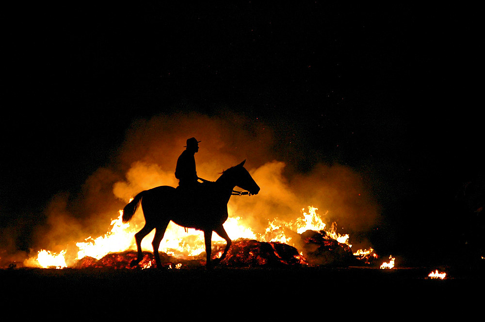 Fiesta de la Tradicion, San Antonio de Areco, Provincia de Buenos Aires, Argentina