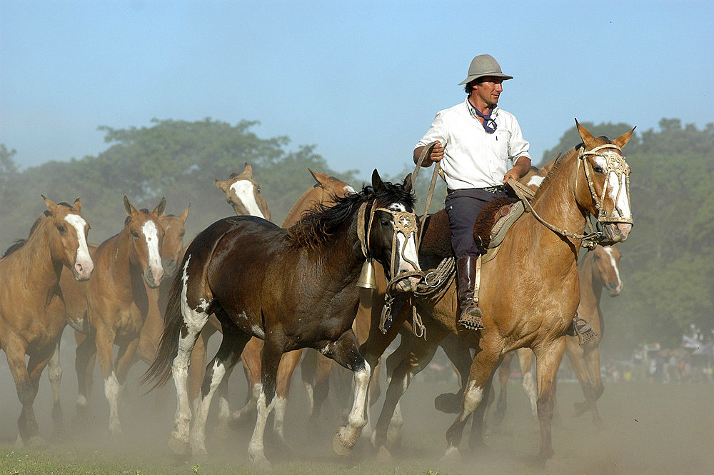 Fiesta de la Tradicion, San Antonio de Areco, Provincia de Buenos Aires, Argentina