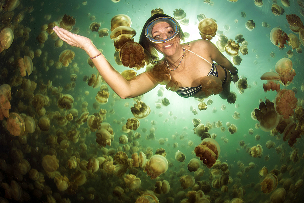 A smiling female diver among the golden jellyfish (Mastigias papua) of Jellyfish Lake, on the island of Eil Malk (Republic of Palau, Micronesia).