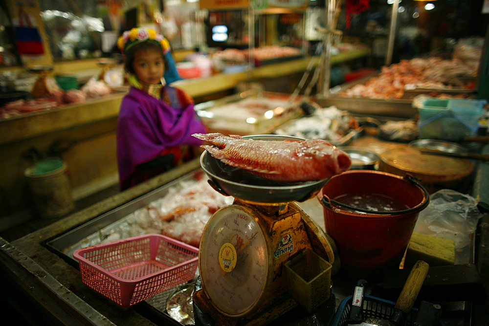 Life of a young girl of the Longneck tribe in Myanmar