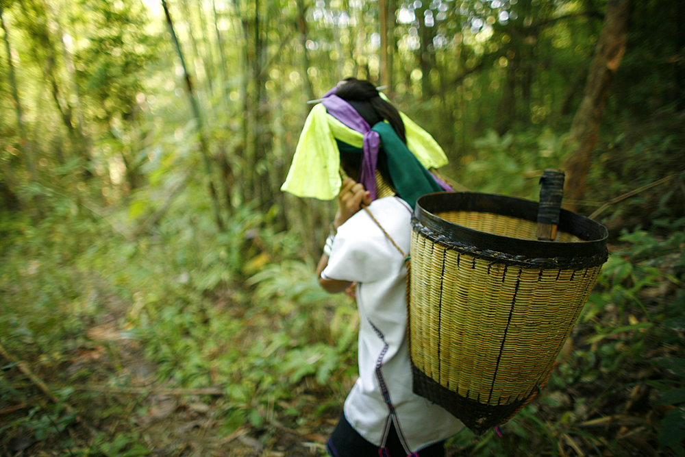 Life of a young girl of the Longneck tribe in Myanmar