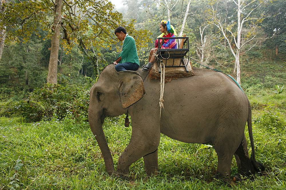 Life of a young girl of the Longneck tribe in Myanmar