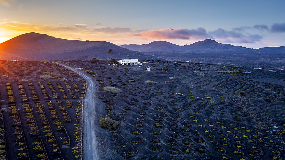 Vinery, La Geria, Lanzarote, Canary Islands, Spain