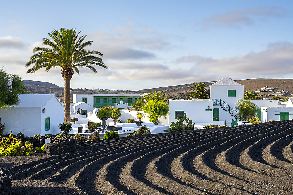 Casa Museo del Campesino, designed by Cesar Manrique, San Bartolome, Lanzarote island, Canary islands, Spain