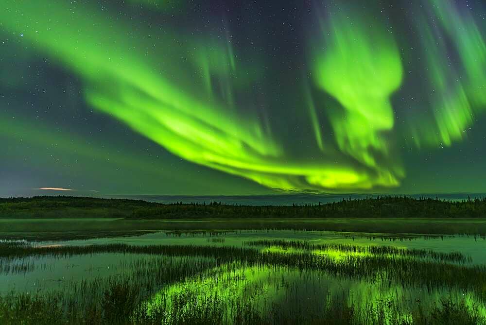 The Northern Lights over the end of Prosperous Lake, on the Ingraham Trail near Yellowknife, NWT, a popular spot for aurora watching in the area. This is looking west on the night of September 5-6, 2019 during a brighter outburst this night.