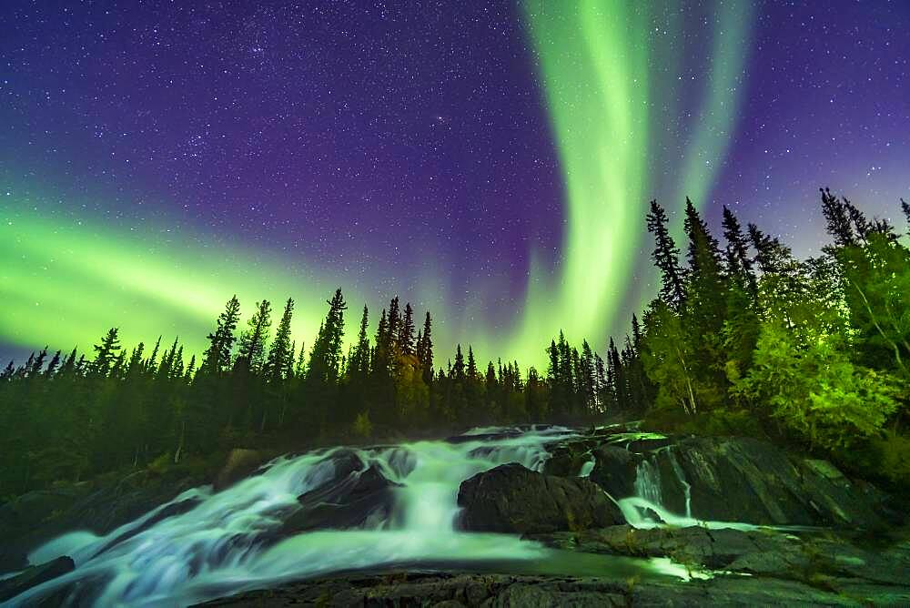 The Northern Lights over the waterfalls known as the Ramparts on the Cameron River east of Yellowknife, NWT, on September 8, 2019. The aspen trees are turning yellow on this September evening. This is looking northeast toward Perseus and Andromeda. M31 is at top centre.