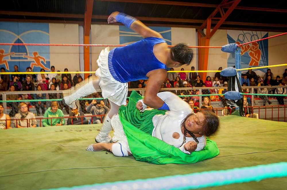 Lucha Libre. Combat between the Transvestite and the cholita Angela la Folclorista, wrestlers ,Sports center La Ceja, El Alto, La Paz, Bolivia