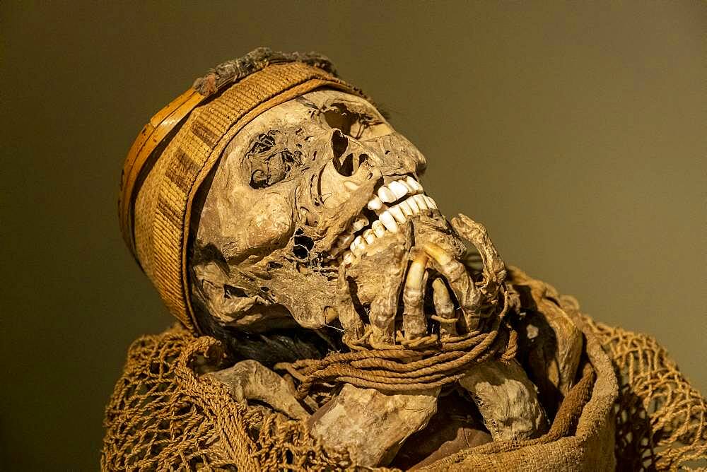 Muisca Mummy, in Gold museum, Museo del Oro, Bogota, Colombia, America