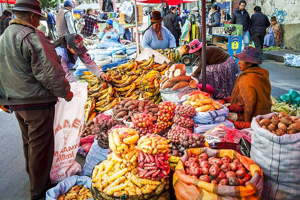 Mercado Rodriguez (Rodriguez market), La Paz, Bolivia