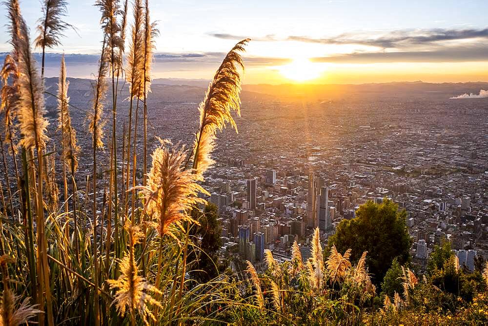 Skyline, downtown, from Montserrate hill or cerro de Montserrate, Bogota, Colombia